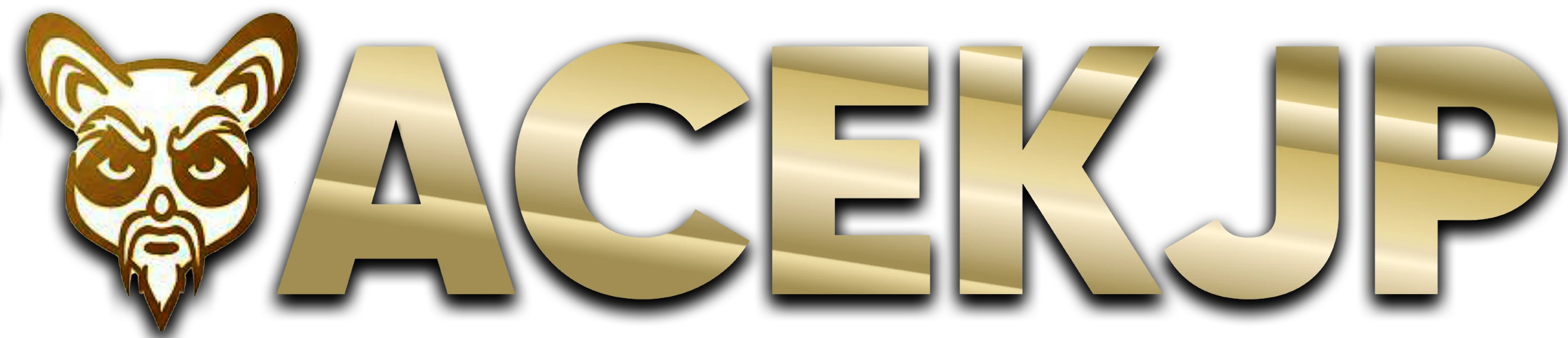 Logo ACEKJP